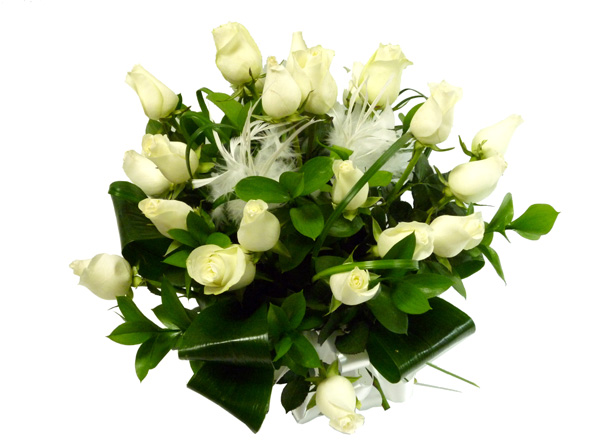 24 White roses