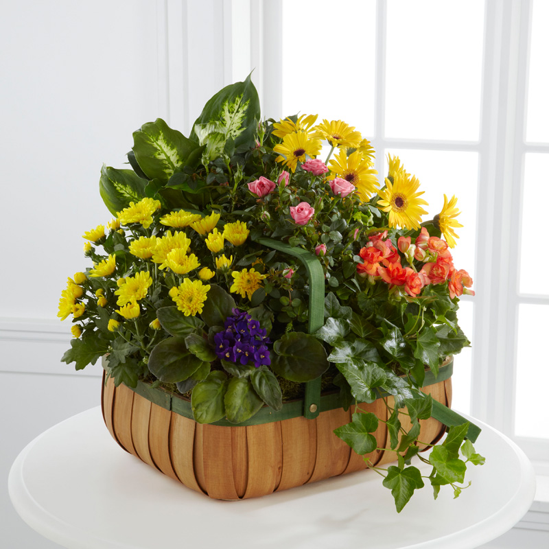  Gentle Blossoms Basket