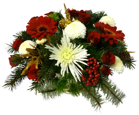 The Twinkling Stars Arrangement