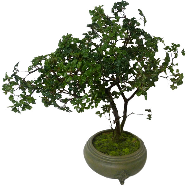 Silk Bonsai(M1)