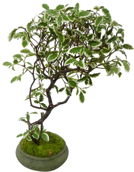 Silk Bonsai(M4)