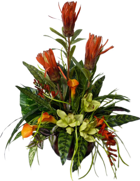 Silk Tropical Arrangement(V10)